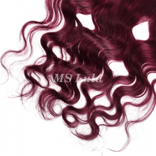 Body Wave #99J Virgin Human Hair 4x4 13x4 Transparent Lace Closure/Frontal | Human Hair Wig | Lace Front